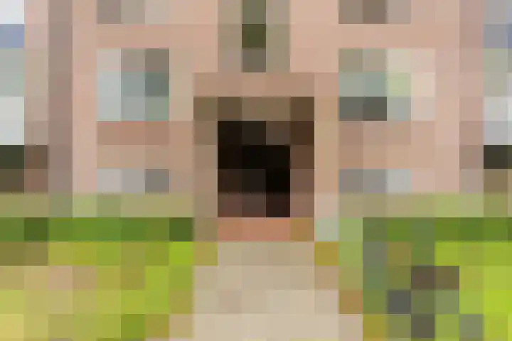 Laan van Blois 26 Beverwijk thumbnail 25