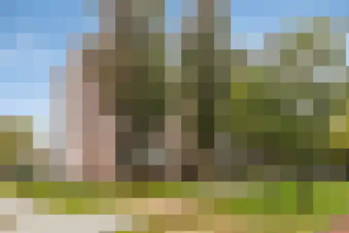 Laan van Blois 26 Beverwijk thumbnail 28