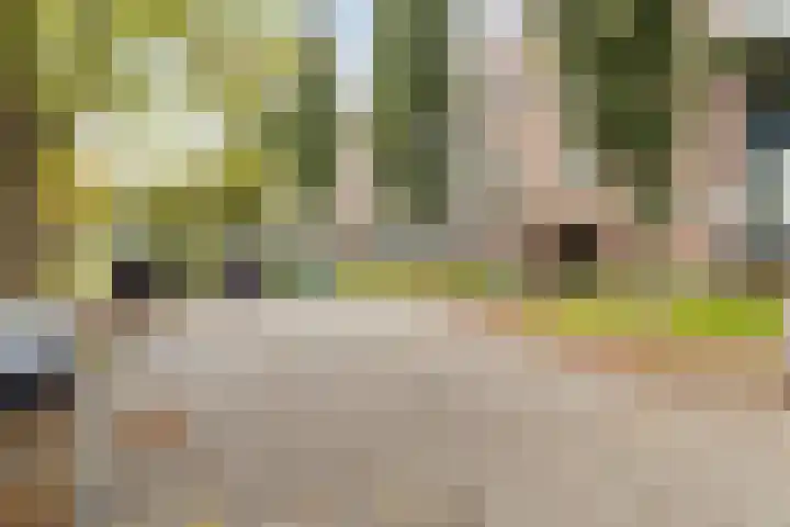 Laan van Blois 26 Beverwijk thumbnail 30