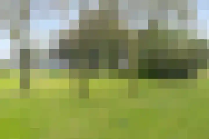 Laan van Blois 26 Beverwijk thumbnail 32