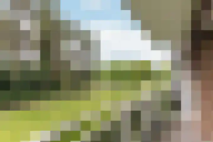 Laan van Blois 47 Beverwijk thumbnail 17