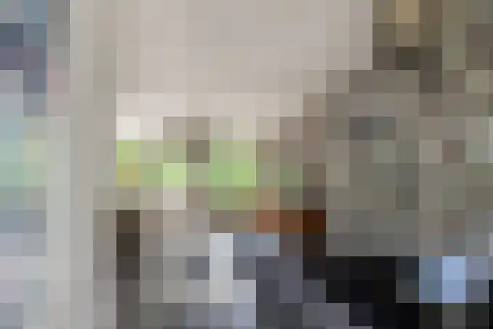 Laan van Blois 54 Beverwijk thumbnail 12