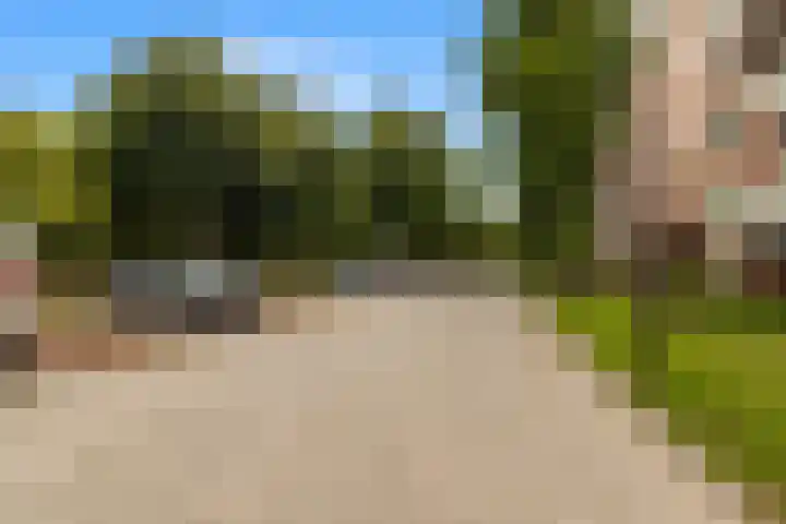Laan van Blois 54 Beverwijk thumbnail 33