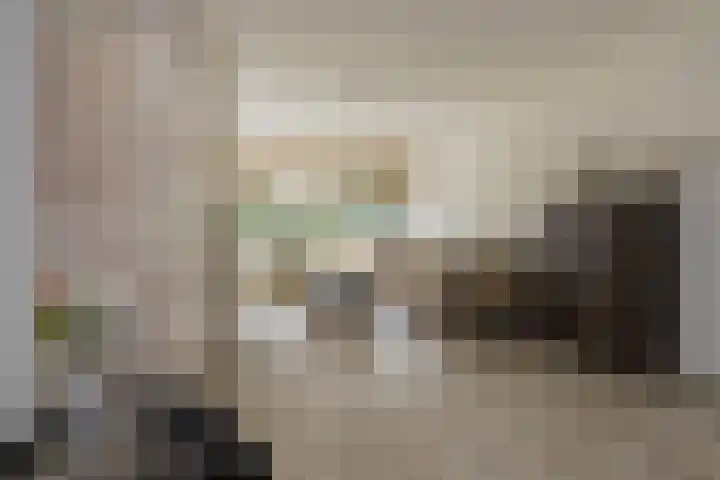 Laan van Blois 65 Beverwijk thumbnail 11