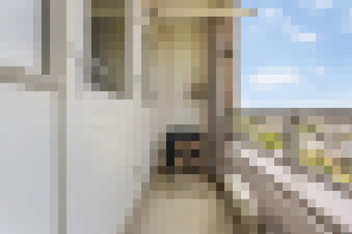 Laan van Blois 8 Beverwijk thumbnail 13