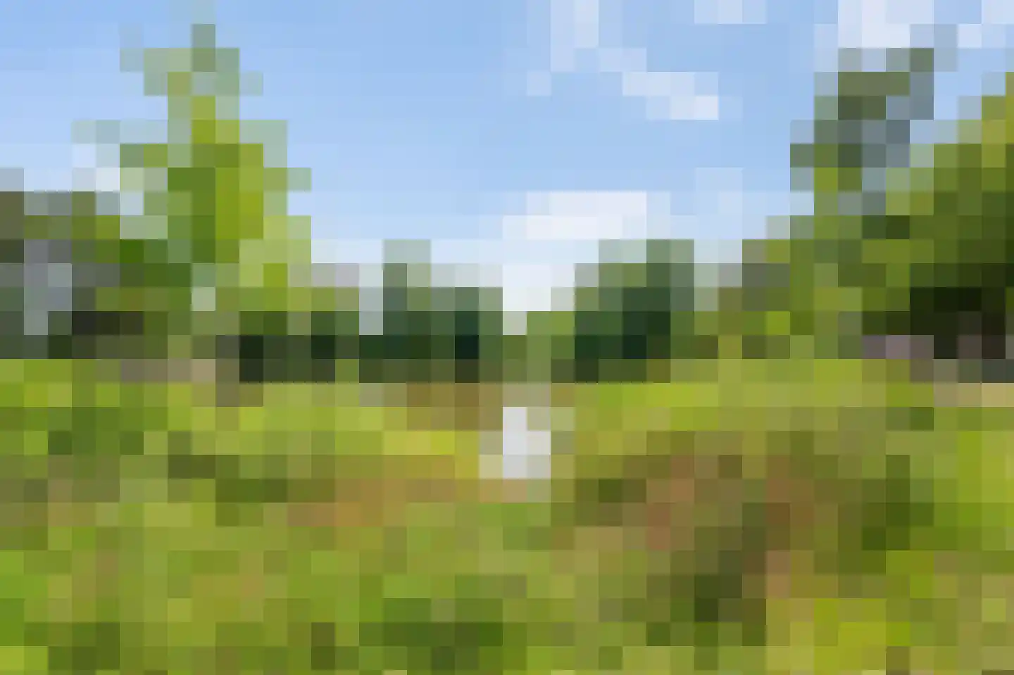 Laan van Blois 8 Beverwijk thumbnail 34