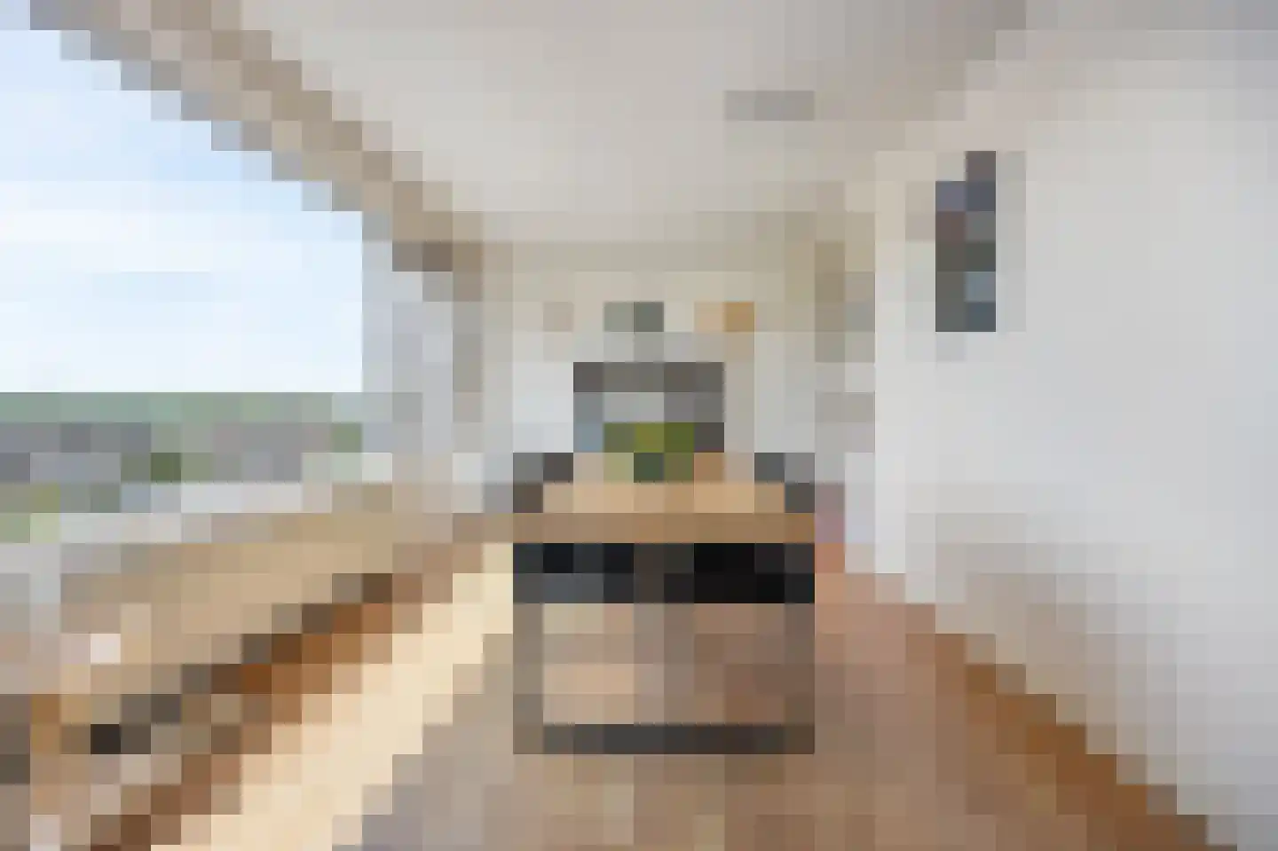 Laan van Blois 8 Beverwijk thumbnail 7