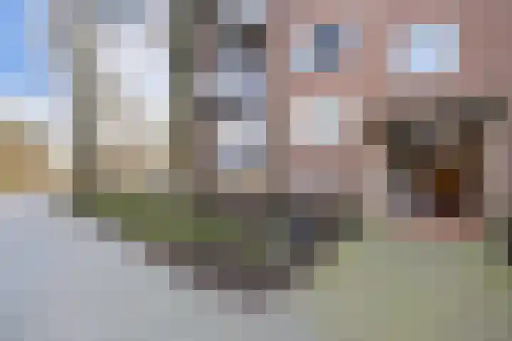 Laan van Blois 84 Beverwijk thumbnail 8