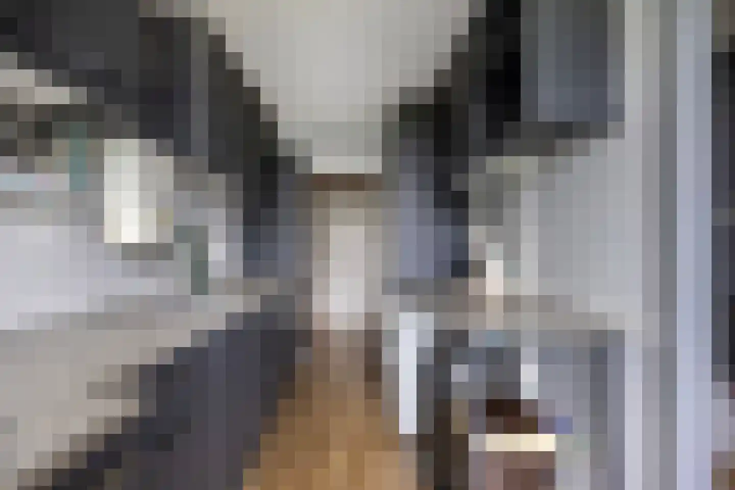 Laan van Blois 88 Beverwijk thumbnail 19