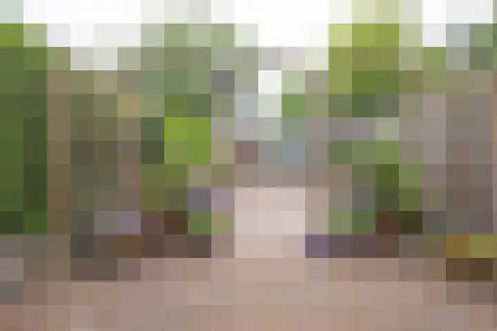 Laan van Blotenburg 18 Woudenberg thumbnail 28