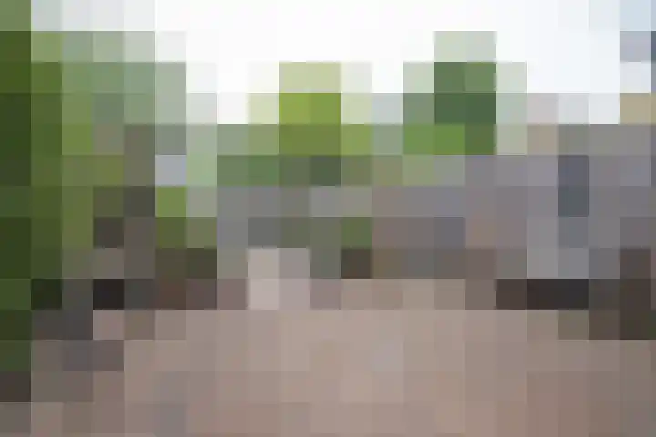 Laan van Blotenburg 18 Woudenberg thumbnail 4