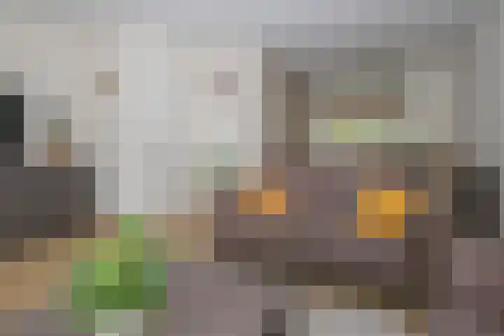Laan van Blotenburg 18 Woudenberg thumbnail 8