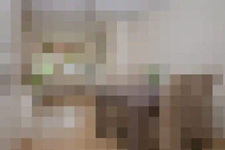 Laan van Blotenburg 18 Woudenberg thumbnail 9