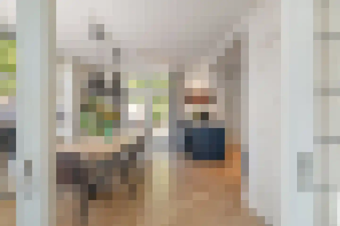 Laan van Borgele 101 Deventer thumbnail 11