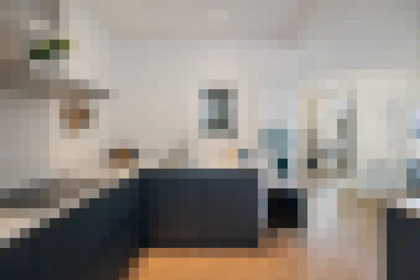 Laan van Borgele 101 Deventer thumbnail 16
