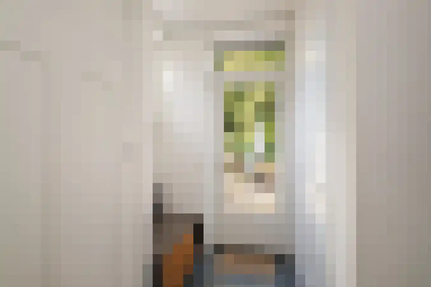 Laan van Borgele 101 Deventer thumbnail 17