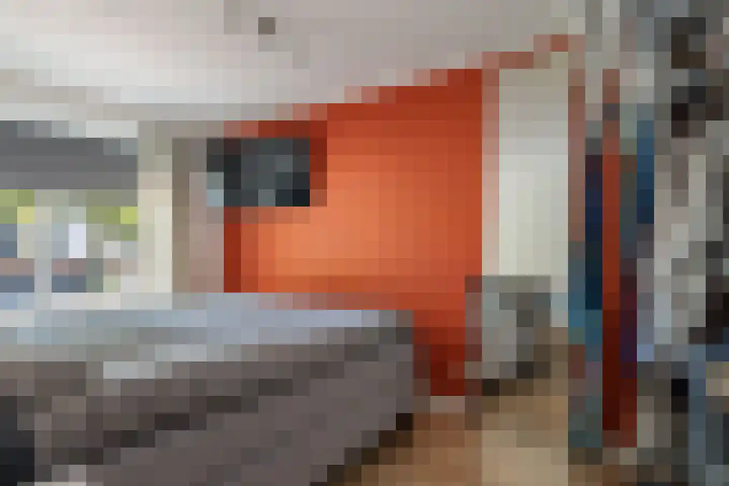 Laan van Borgele 101 Deventer thumbnail 26