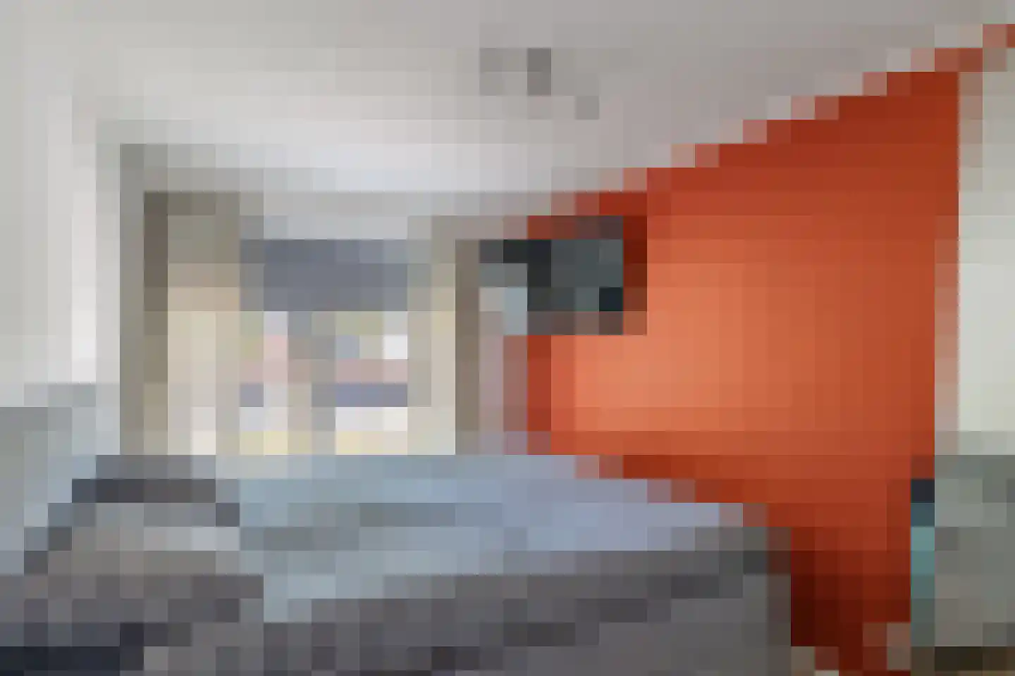 Laan van Borgele 101 Deventer thumbnail 27