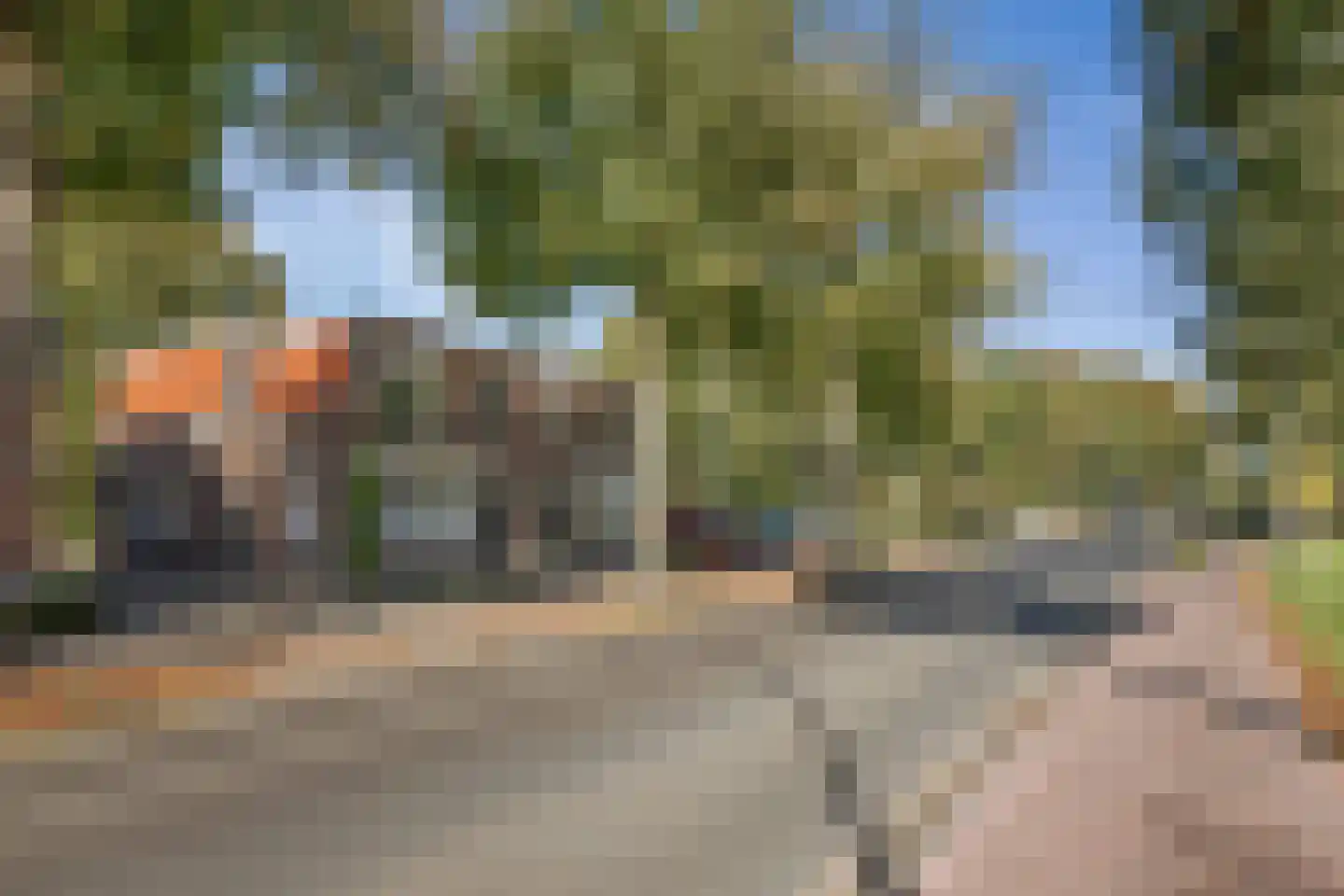 Laan van Borgele 101 Deventer foto 3