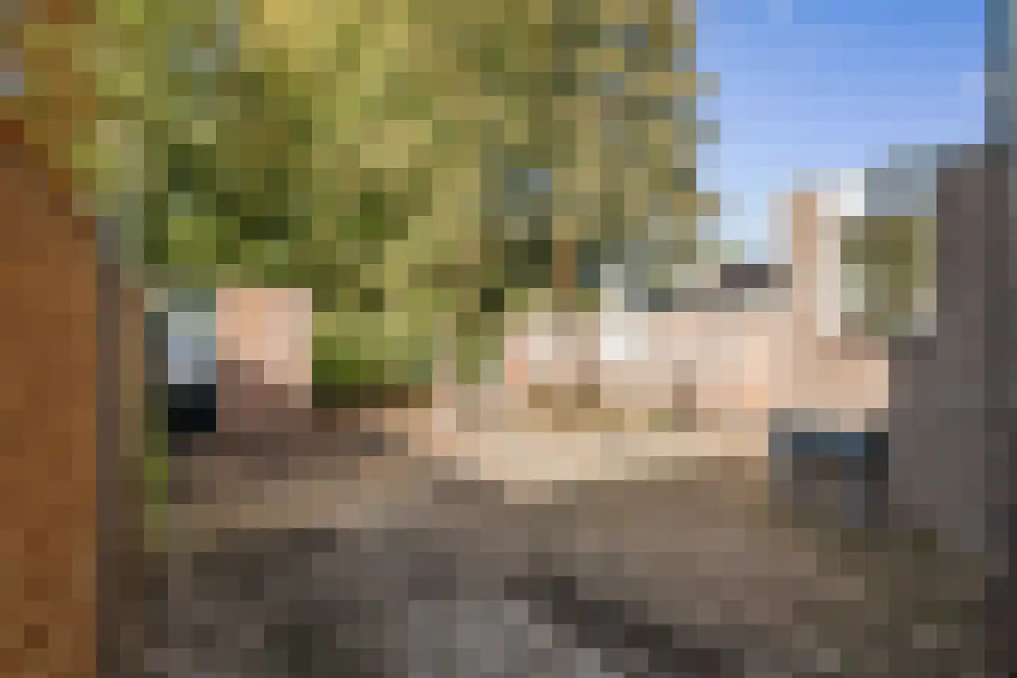 Laan van Borgele 101 Deventer thumbnail 31