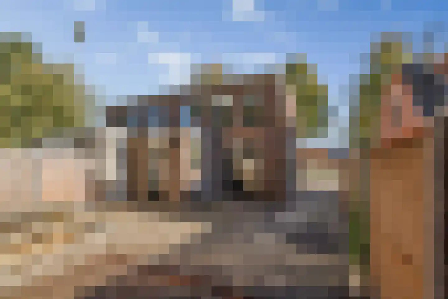 Laan van Borgele 101 Deventer thumbnail 32