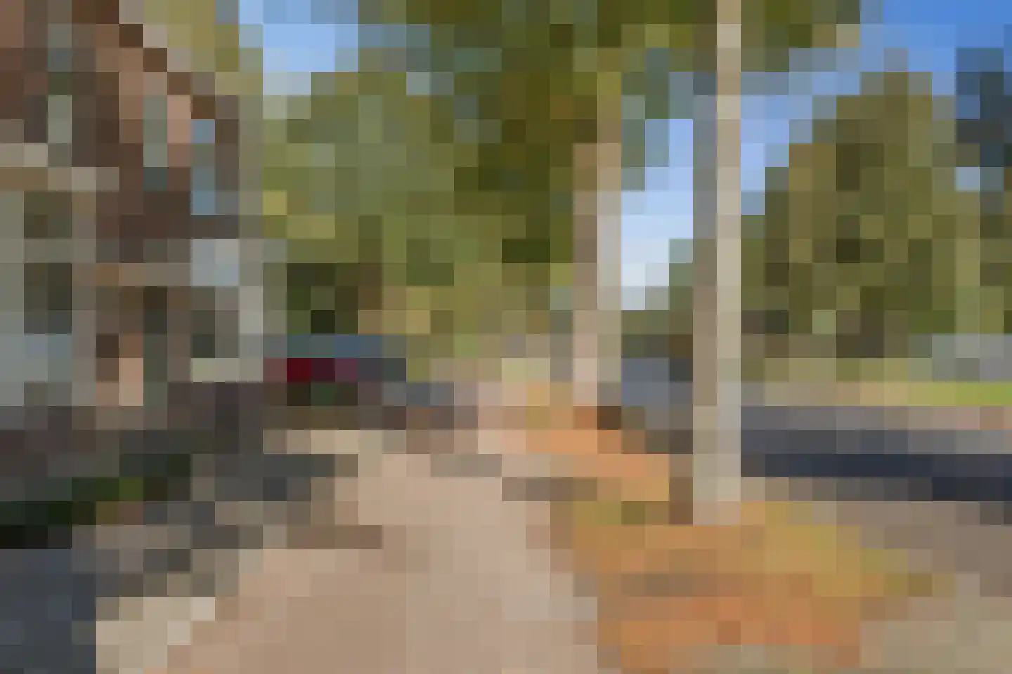 Laan van Borgele 101 Deventer thumbnail 37