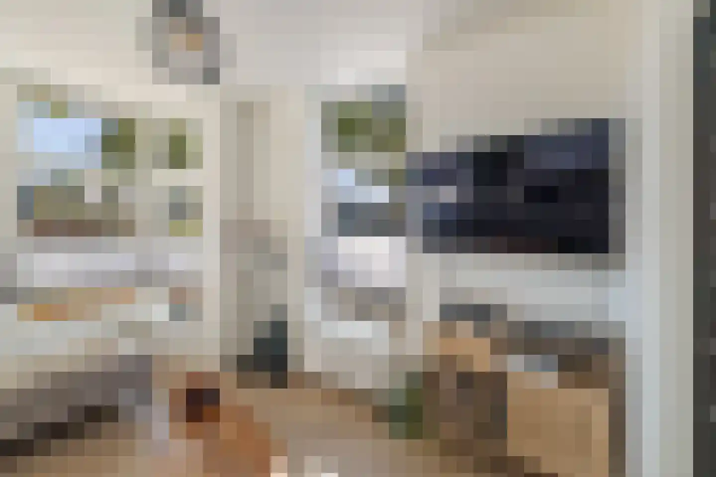 Laan van Borgele 101 Deventer thumbnail 7