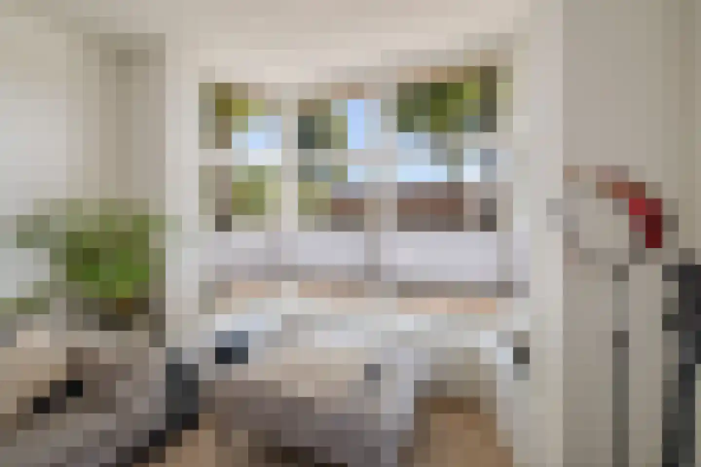 Laan van Borgele 101 Deventer thumbnail 8