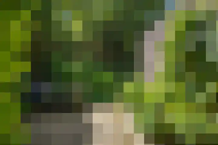 Laan van Borgele 32 Deventer thumbnail 12
