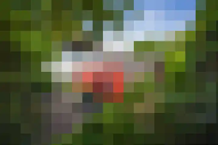 Laan van Borgele 32 Deventer thumbnail 13
