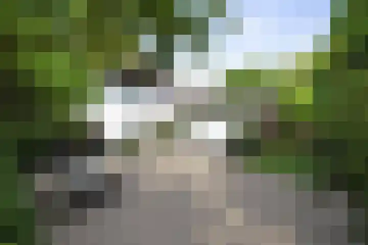 Laan van Borgele 32 Deventer thumbnail 14