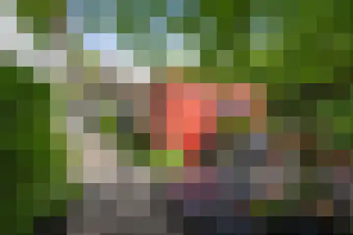 Laan van Borgele 32 Deventer thumbnail 15