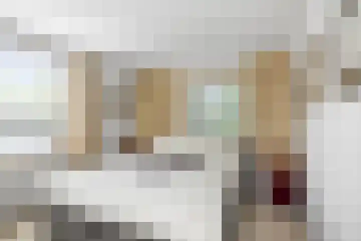 Laan van Borgele 32 Deventer thumbnail 22