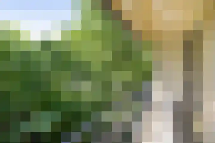 Laan van Borgele 32 Deventer thumbnail 28