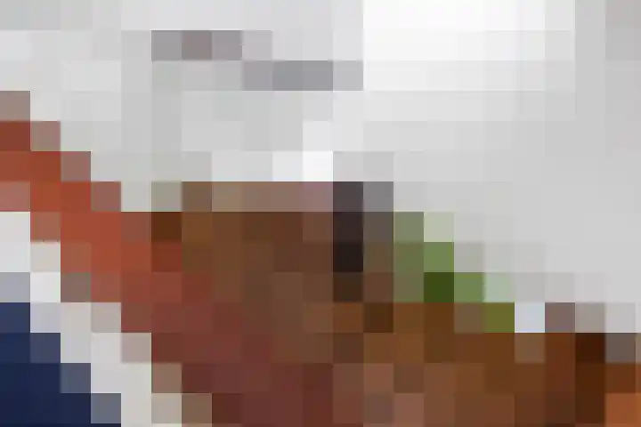 Laan van Borgele 32 Deventer thumbnail 31