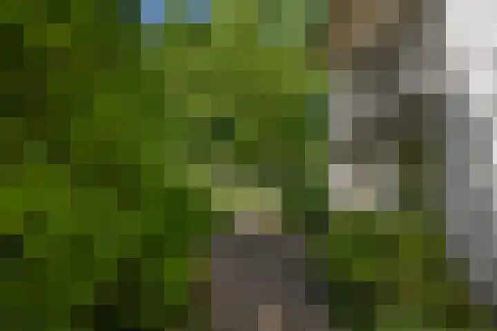 Laan van Borgele 32 Deventer thumbnail 32