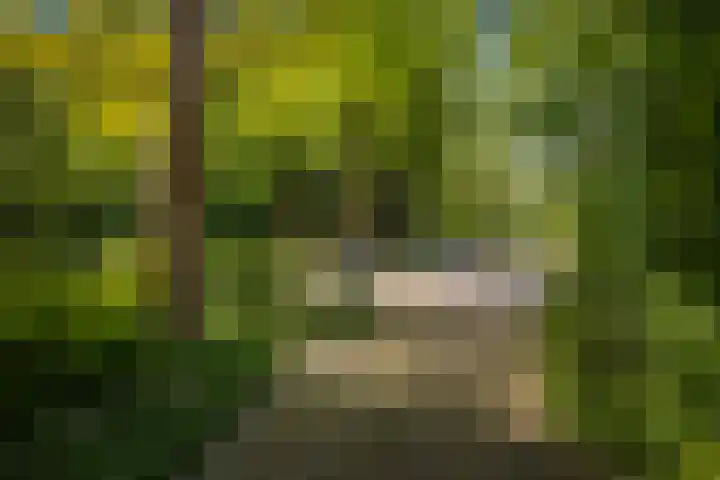 Laan van Borgele 32 Deventer thumbnail 33