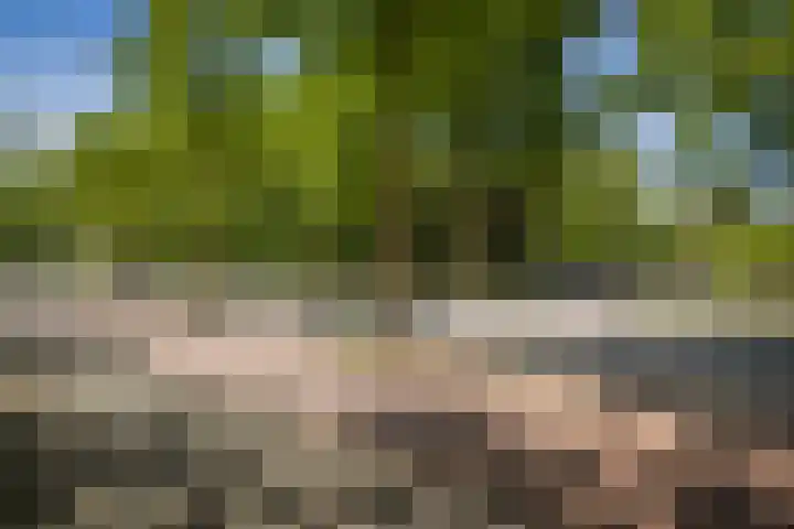 Laan van Borgele 32 Deventer thumbnail 34
