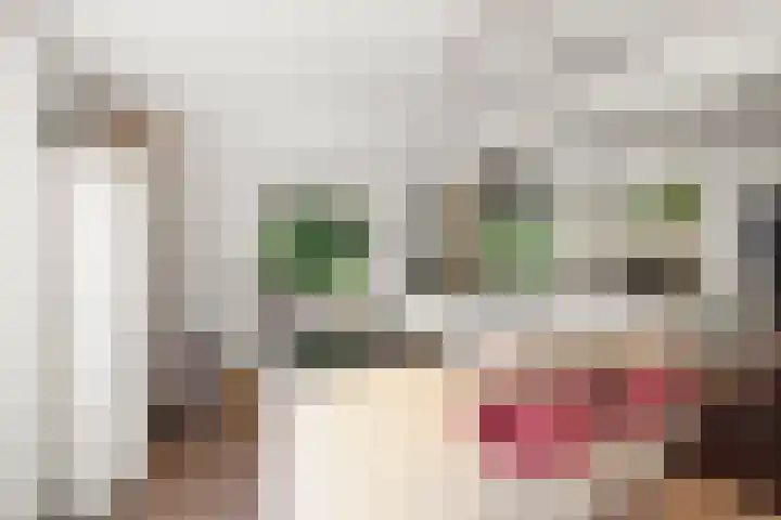 Laan van Borgele 32 Deventer thumbnail 9