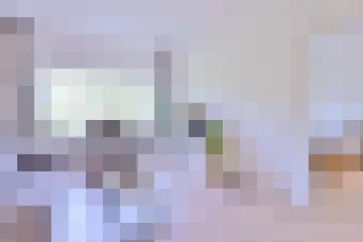 Laan van Borgele 40 F 214 Deventer thumbnail 15