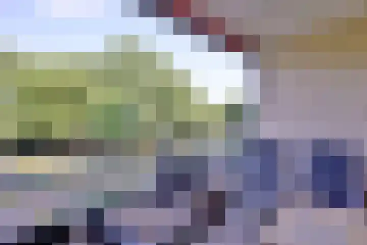 Laan van Borgele 40 F 214 Deventer thumbnail 17