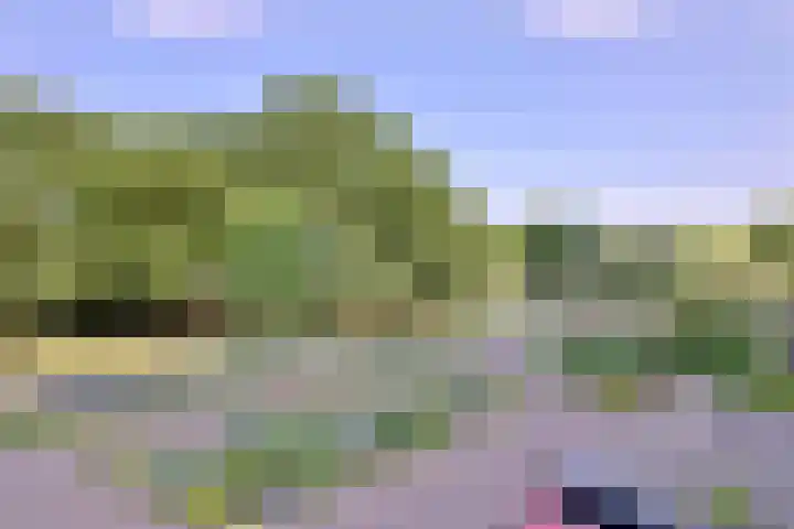 Laan van Borgele 40 F 214 Deventer thumbnail 18