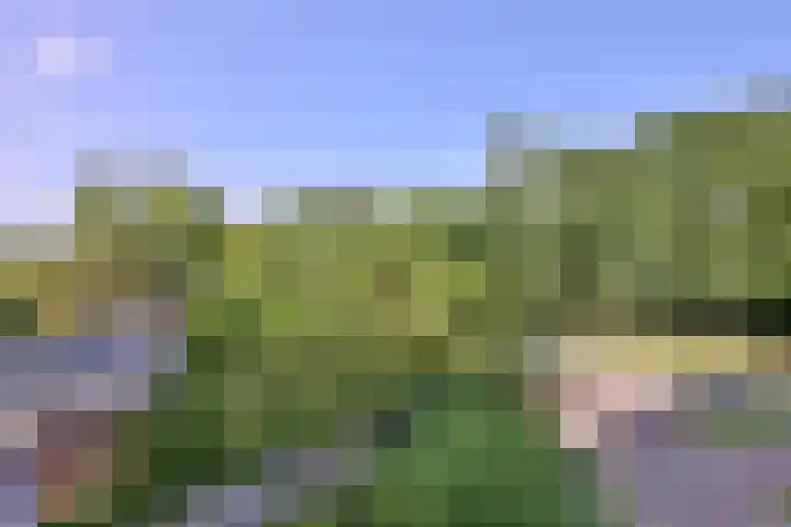 Laan van Borgele 40 F 214 Deventer thumbnail 19