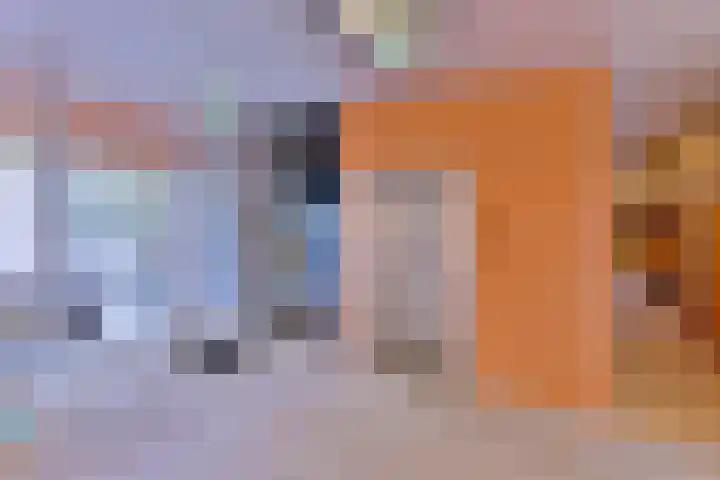 Laan van Borgele 40 F 214 Deventer thumbnail 25