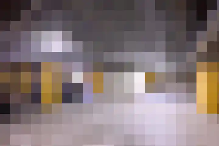 Laan van Borgele 40 F 214 Deventer thumbnail 30