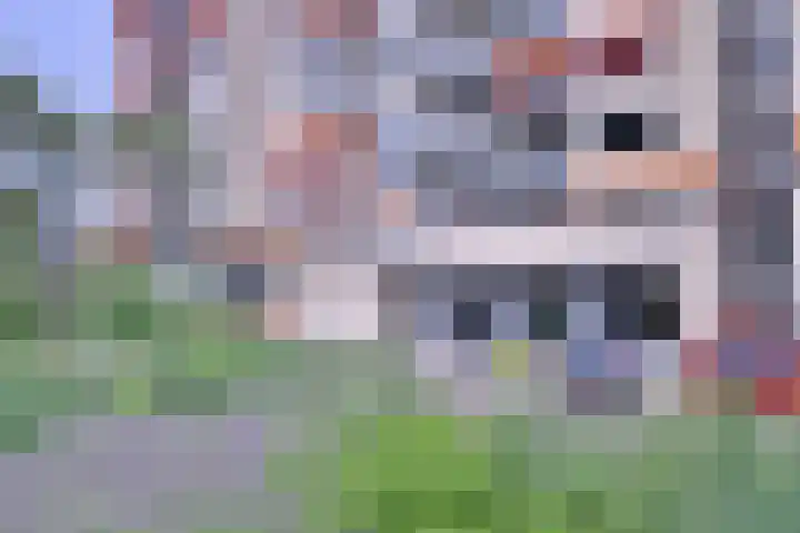 Laan van Borgele 40 F 214 Deventer thumbnail 35