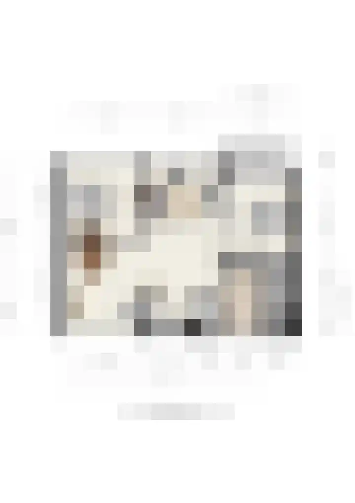 Laan van Borgele 40 F 214 Deventer thumbnail 37