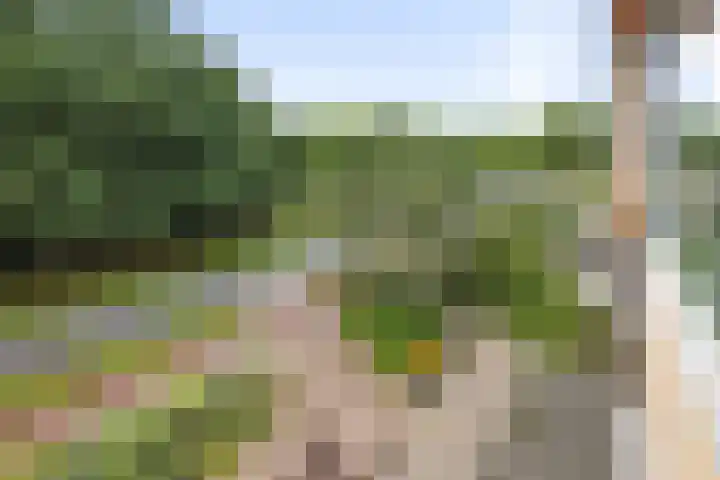 Laan van Borgele 40 F 312 Deventer thumbnail 13