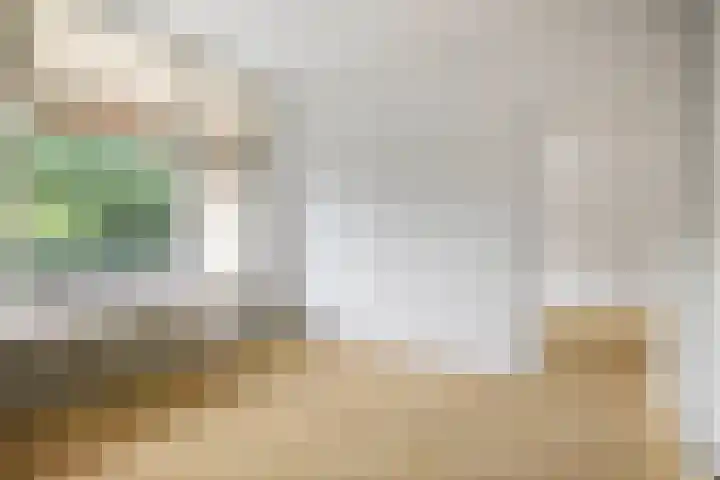Laan van Borgele 40 F 312 Deventer thumbnail 14
