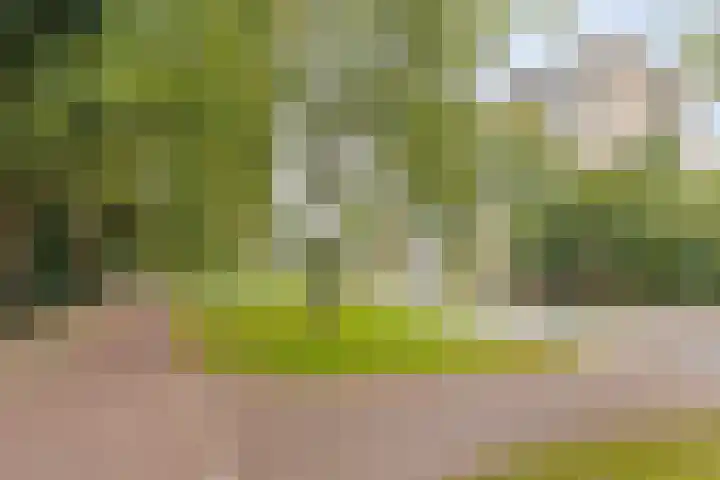 Laan van Borgele 40 F 312 Deventer thumbnail 25